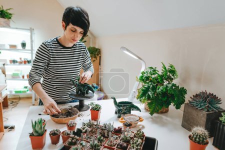 Téléchargez les photos : Jeune femme plantant un succulent dans un pot de fleurs en forme de dinosaure. Concentration sélective. - en image libre de droit