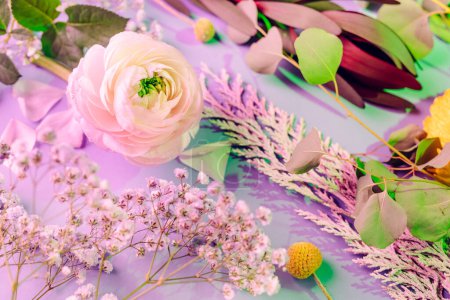 Photo for Floral pattern on violet background. Selective focus on Ranunculus flower. - Royalty Free Image