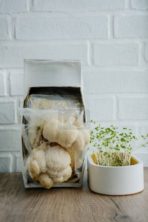 Téléchargez les photos : Microgreens et hericium erinaceus champignons cultivés en cuisine. Mycélium cultivé à la maison poussant à la maison. Concept de fongiculture et jardin à la maison. - en image libre de droit