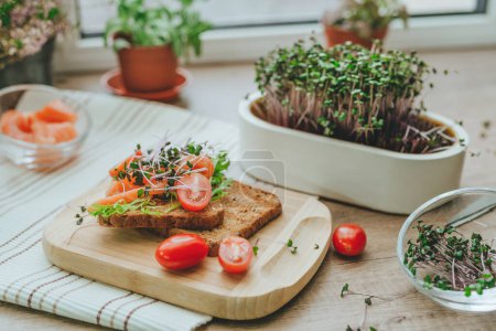 Photo for Sandwich with salmon fish, microgreens of radish and tomato on wooden background. Idea of homegrown vitamin food. Selective focus. - Royalty Free Image