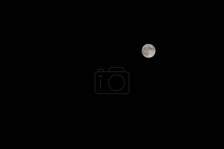 Photo for The Moon, a wonderful view of the planet Earth satellite. - Royalty Free Image