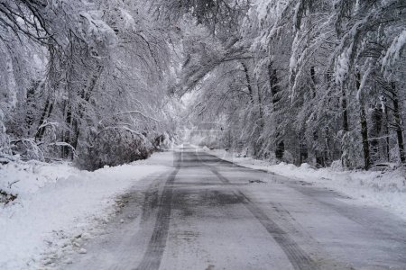Photo for Heavy snow covered road during Wisconsin snow fall of 2022 - Royalty Free Image