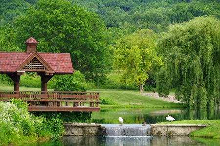Foto de El pequeño lago en el parque - Imagen libre de derechos