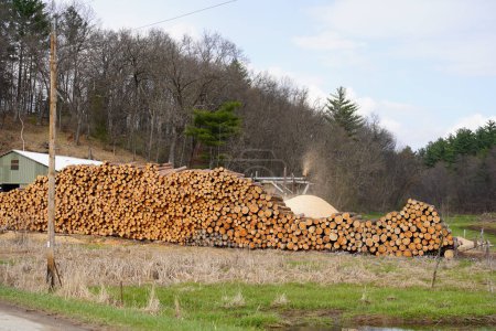 Téléchargez les photos : Une pile de bûches de bois - en image libre de droit