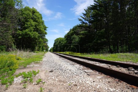Téléchargez les photos : Train voies ferrées mènent dans une forêt. - en image libre de droit