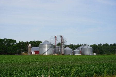 Photo for New Lisbon, Wisconsin USA - July 28th, 2023: Grain silos and elevators on a corefield in the countryside. - Royalty Free Image