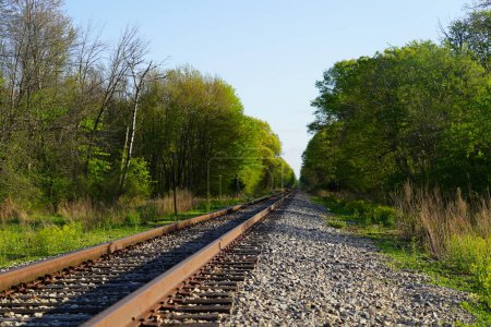 Photo for Train railroad tracks lead into a forest. - Royalty Free Image