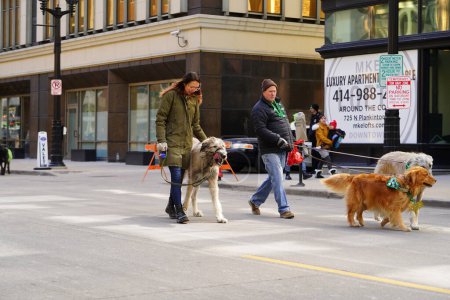 Foto de Milwaukee, Wisconsin - 12 de marzo de 2022: Los perros lobo irlandeses y sus dueños caminan en el desfile del Día de San Patricio. - Imagen libre de derechos