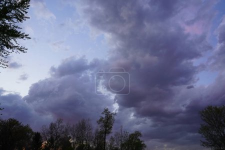 Storm clouds moving over a forest