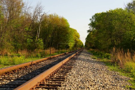 Foto de Las vías del tren conducen a un bosque. - Imagen libre de derechos