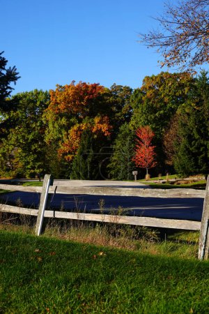 Téléchargez les photos : Clôture en bois devant la forêt colorée d'automne pendant la saison d'automne à Fond du Lac, Wisconsin - en image libre de droit