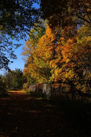 Téléchargez les photos : Route cachée de couleur automne près de la forêt à Fond du Lac, Wisconsin - en image libre de droit