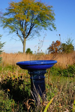 Photo for Molded concrete royal blue bird bath sits alone on the countryside during the autumn fall season in Fond du Lac, Wisconsin - Royalty Free Image