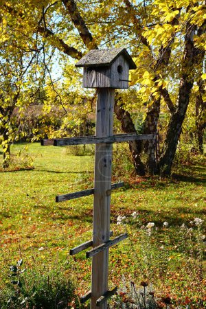 Téléchargez les photos : Des nichoirs en bois sont installés à l'extérieur pendant la saison d'automne à Fond du Lac, Wisconsin - en image libre de droit