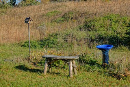 Téléchargez les photos : Bain d'oiseaux bleu royal en béton moulé assis seul à la campagne pendant la saison automnale à Fond du Lac, Wisconsin - en image libre de droit