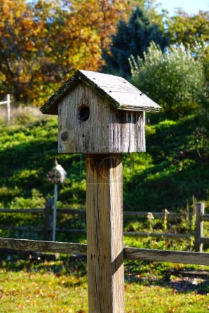 Photo for Wooden bird houses sit outside during autumn season in Fond du Lac, Wisconsin - Royalty Free Image