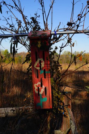 Foto de Casas de pájaros de madera se sientan fuera durante la temporada de otoño en Fond du Lac, Wisconsin - Imagen libre de derechos