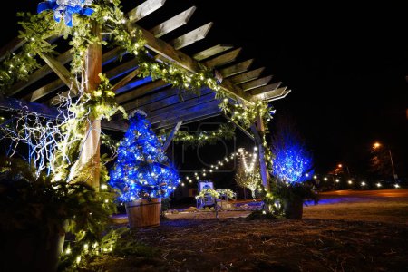 Foto de Fond du Lac, Wisconsin / Estados Unidos - 17 de diciembre de 2018: Stuart 's Landscaping Company vistió su jardín con luces de Navidad que se encuentra cerca del parque Lakeside. - Imagen libre de derechos