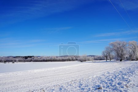 Téléchargez les photos : Paysage rural d'hiver gelé à l'extérieur de Campbellsport, Wisconsin - en image libre de droit