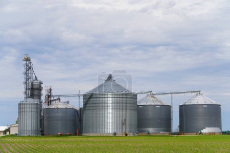 Foto de Nueva Lisboa, Wisconsin - 20 de abril de 2023: Silos de grano y elevadores de grano se sientan en tierras de cultivo. - Imagen libre de derechos