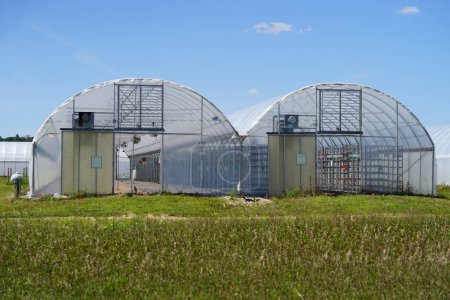 Foto de Mauston, Wisconsin, EE.UU. - 14 de agosto de 2021: Invernaderos largos en tierras de cultivo. - Imagen libre de derechos