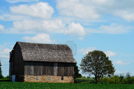 Photo for Old wooden abandoned farm barn sits on a farm field outside of fond du lac, wisconsin. - Royalty Free Image