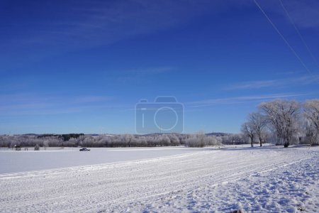 Foto de Paisaje campestre de invierno congelado fuera de Campbellsport, Wisconsin - Imagen libre de derechos