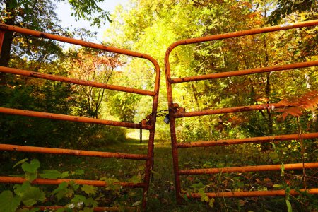 Foto de Rusted vieja puerta encadenada se encuentra frente a un camino de paso de la naturaleza durante la temporada de otoño otoño. - Imagen libre de derechos