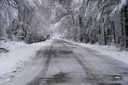 Foto de Carretera cubierta de nieve durante la nevada de Wisconsin de 2022 - Imagen libre de derechos
