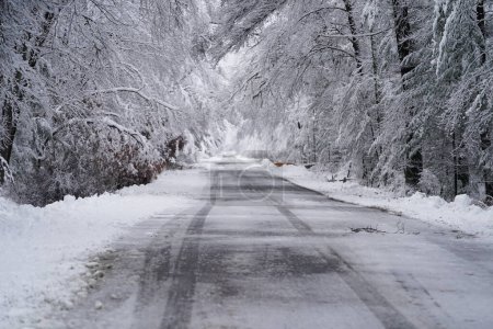 Téléchargez les photos : Route couverte de neige épaisse pendant les chutes de neige du Wisconsin de 2022 - en image libre de droit