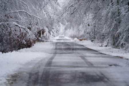 Foto de Carretera cubierta de nieve durante la nevada de Wisconsin de 2022 - Imagen libre de derechos