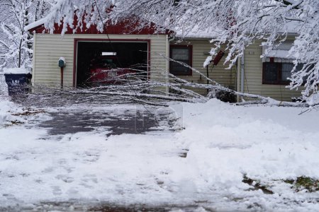 Foto de Nueva Lisboa, Wisconsin, EE. UU. - 15 de diciembre de 2022: Los árboles se inclinan hacia las casas debido a las fuertes nevadas. - Imagen libre de derechos
