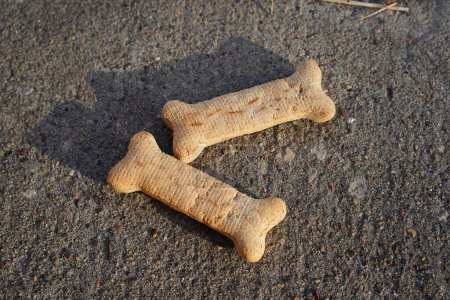 Photo for Dog treats in a bone shape - Royalty Free Image