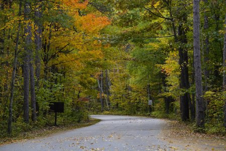 Téléchargez les photos : Chemin routier à travers la forêt colorée d'automne. - en image libre de droit