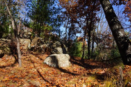 Foto de Formaciones de piedra de roca se sientan en un bosque para escalar rocas. - Imagen libre de derechos