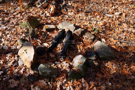 Téléchargez les photos : Grumes de bois brûlé, fait foyer dans une forêt à la fin de l'automne. - en image libre de droit