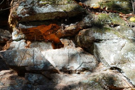 Téléchargez les photos : Les formations rocheuses sont assises dans une forêt pour l'escalade. - en image libre de droit