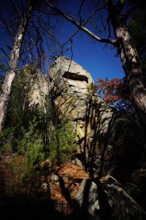 Téléchargez les photos : Des formations rocheuses hautes sont assises dans une forêt pour l'escalade. - en image libre de droit