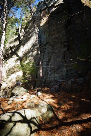 Foto de Formaciones de piedra de roca alta se sientan en un bosque para escalar. - Imagen libre de derechos