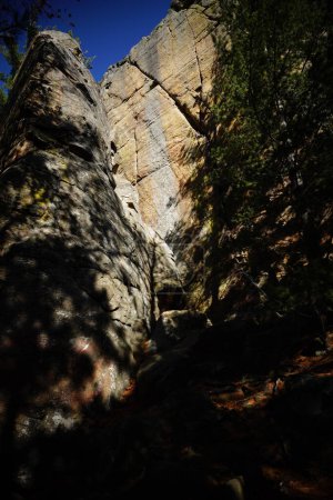 Téléchargez les photos : Des formations rocheuses hautes sont assises dans une forêt pour l'escalade. - en image libre de droit