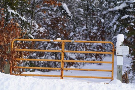 Téléchargez les photos : Clôture neige couverte par les arbres en arrière-plan - en image libre de droit