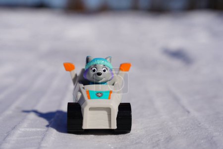 Foto de Nueva Lisboa, Wisconsin, EE.UU. - 14 de marzo de 2023: Spin Master Paw Patrol Everest y Chase juguetes para niños colocados afuera en el frío invierno. - Imagen libre de derechos