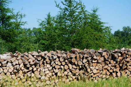 Wood logs stacked up on the countryside