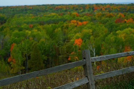 Téléchargez les photos : Changement de couleur des forêts pendant la saison d'automne - en image libre de droit