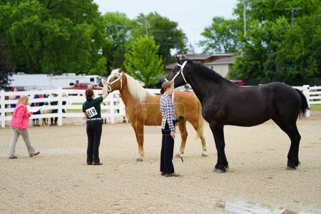 Foto de Fond du Lac, Wisconsin / Estados Unidos - 17 de julio de 2019: Muchachas jóvenes con caballos en exhibición de caballos en un campo público de caballos en Fond du Lac, Wisconsin - Imagen libre de derechos