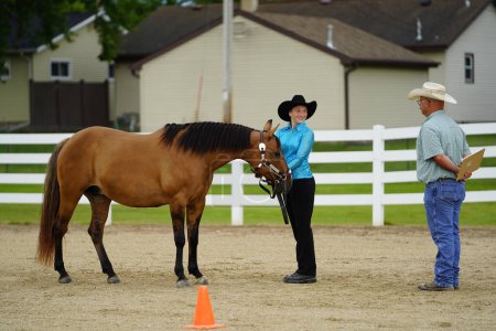 Téléchargez les photos : Fond du Lac, Wisconsin / États-Unis - 17 juillet 2019 : Jeune fille à cheval à un concours hippique dans un ranch public de Fond du Lac, Wisconsin - en image libre de droit