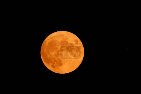 Photo for Full moon on a black background - Royalty Free Image