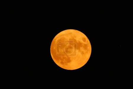 Téléchargez les photos : Pleine lune sur fond noir - en image libre de droit