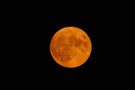 Téléchargez les photos : Pleine lune sur fond noir - en image libre de droit