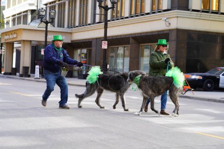 Téléchargez les photos : Milwaukee, Wisconsin États-Unis - 12 mars 2022 : Chiens de loup irlandais et leurs propriétaires marchant dans le défilé de la Saint-Patrick. - en image libre de droit